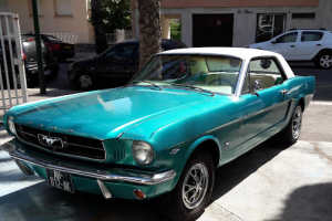 Controle Technique Des Palmiers